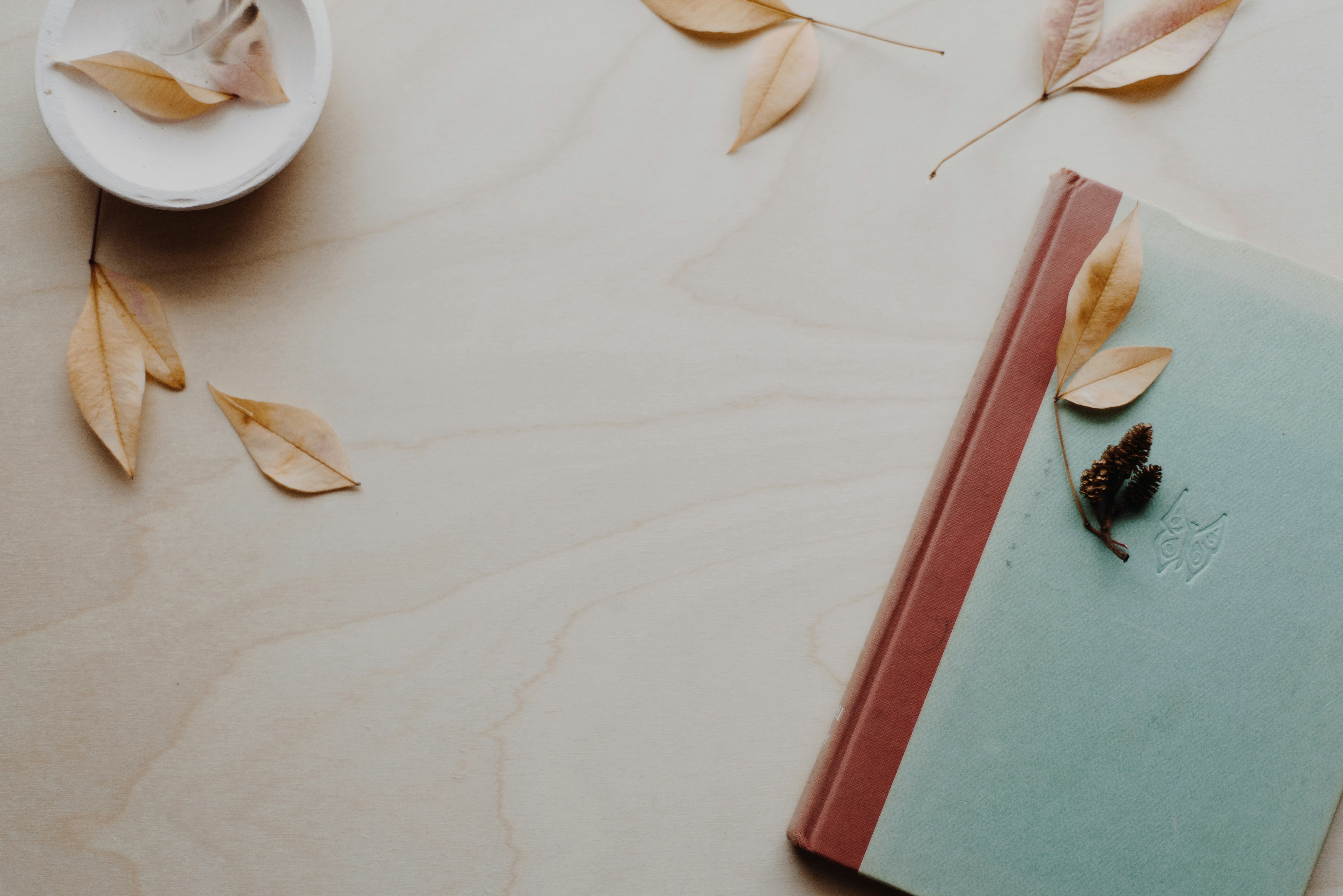 Mindfulness in Daily Life